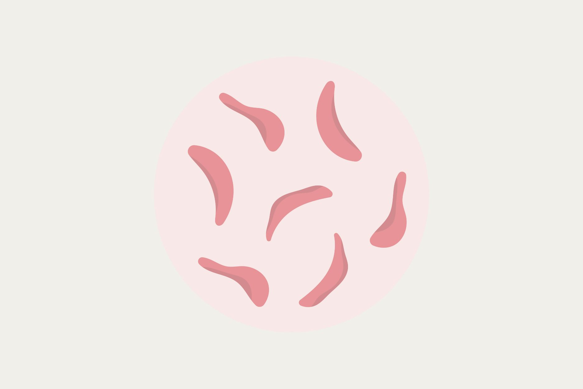 Sickle Cell Anemia: Rapid-Fire Basics Explained
