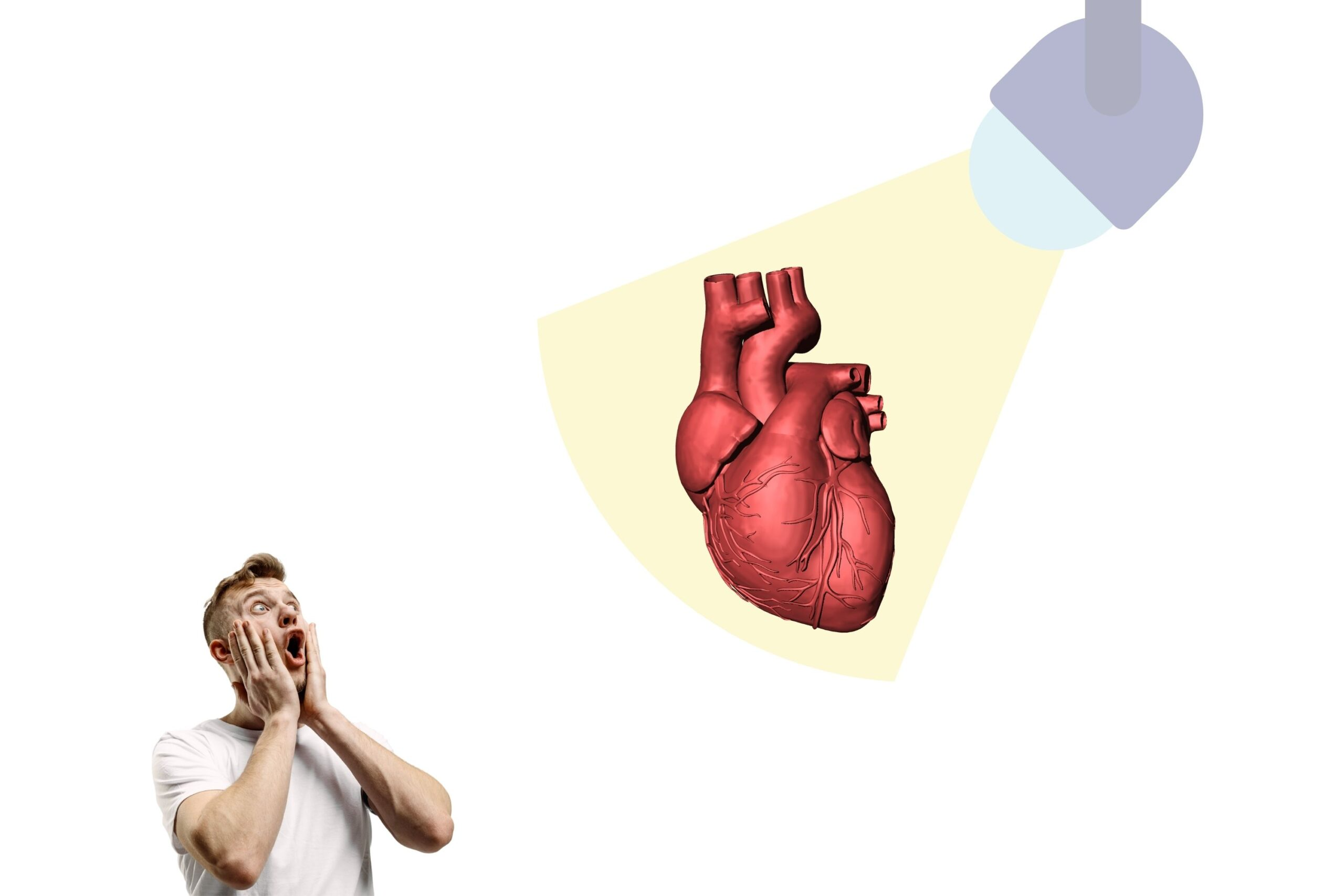 14 amazing things you may not know about the human heart