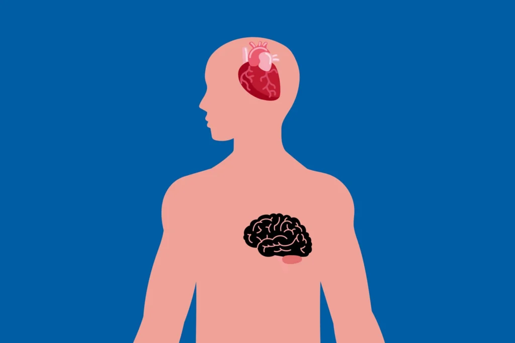 Emotional Intelligence: An Introduction to EQ