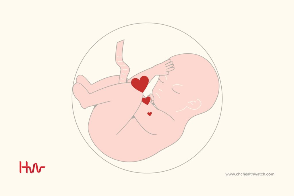 First functional organ First functional organ