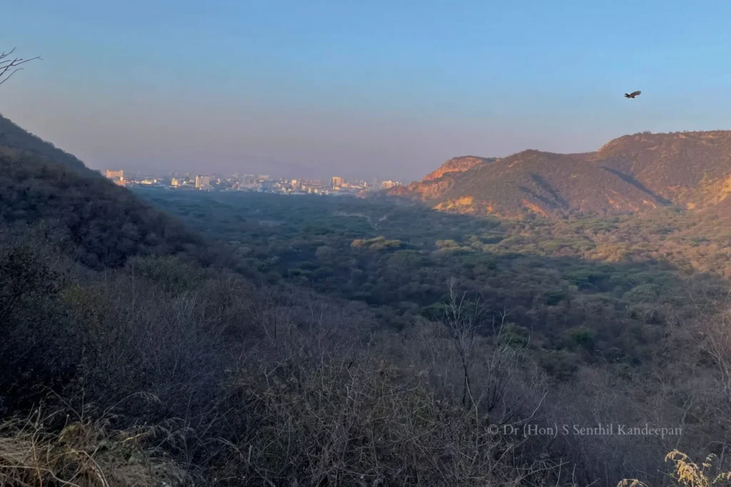 Jhalana’s valley Jhalana’s valley