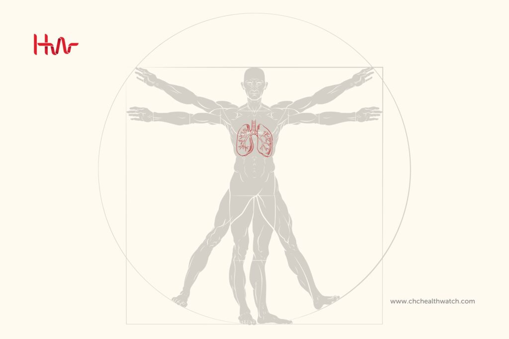 Lungs are not of the same size Lungs are not of the same size